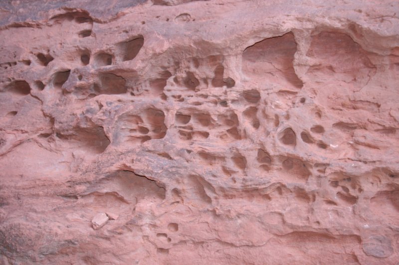 snowcanyon27.jpg