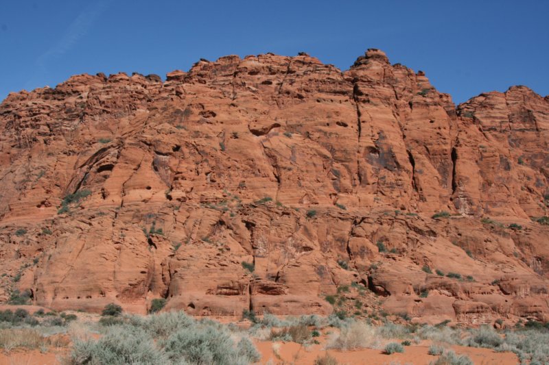 snowcanyon43.jpg