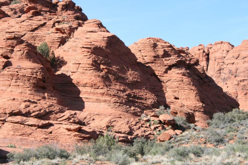 snowcanyon50.jpg