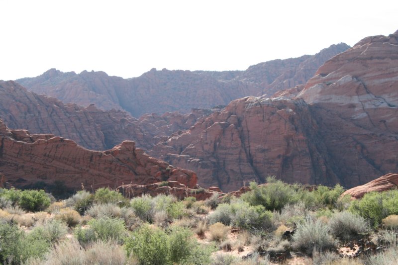 snowcanyon64.jpg
