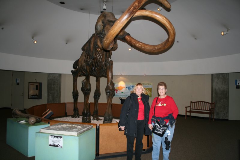 labreatarpits6.jpg