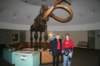 labreatarpits6_small.jpg