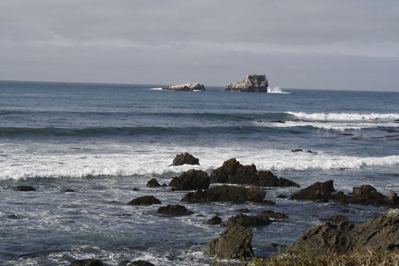 pismobeach23.jpg