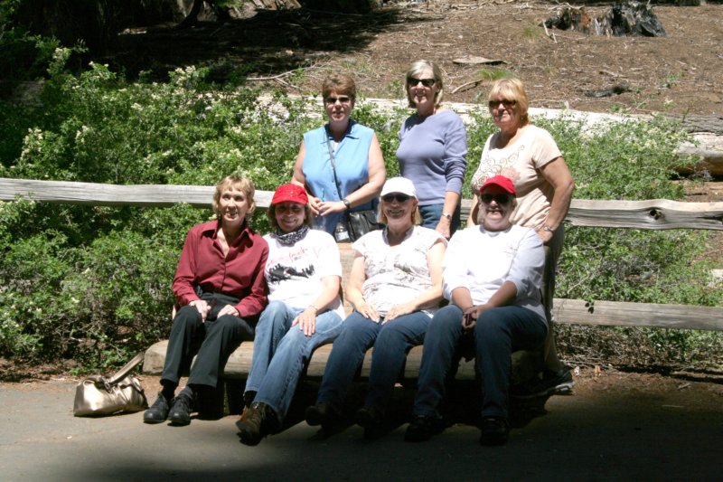 sequoiatrip10.jpg