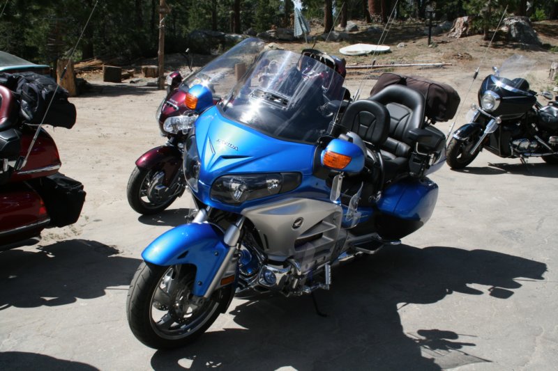 sequoiatrip2.jpg